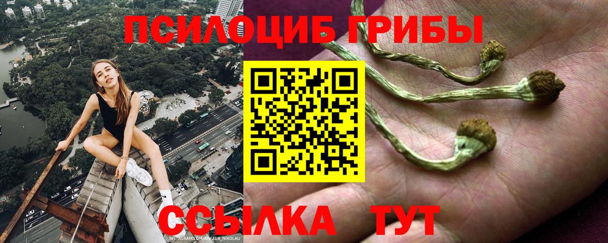 Галлюциногенные грибы прущие грибы  Галлюциногенные грибы Psilocybine cubensis  Вход с VPN  Ангарск 
