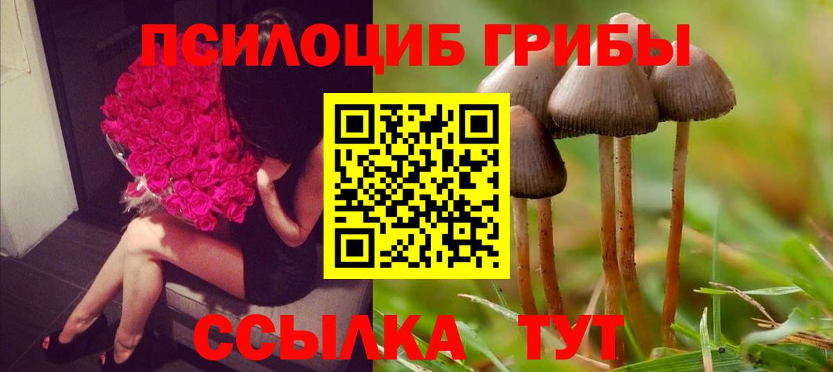 Псилоцибиновые грибы мухоморы Ангарск